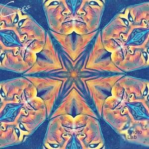 Meet your Posher, Ratchel